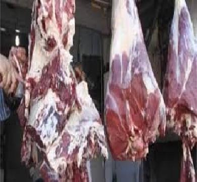 شعبة القصابين : سعر اللحمة 280 في منافذ امان و420 عند الجزارين